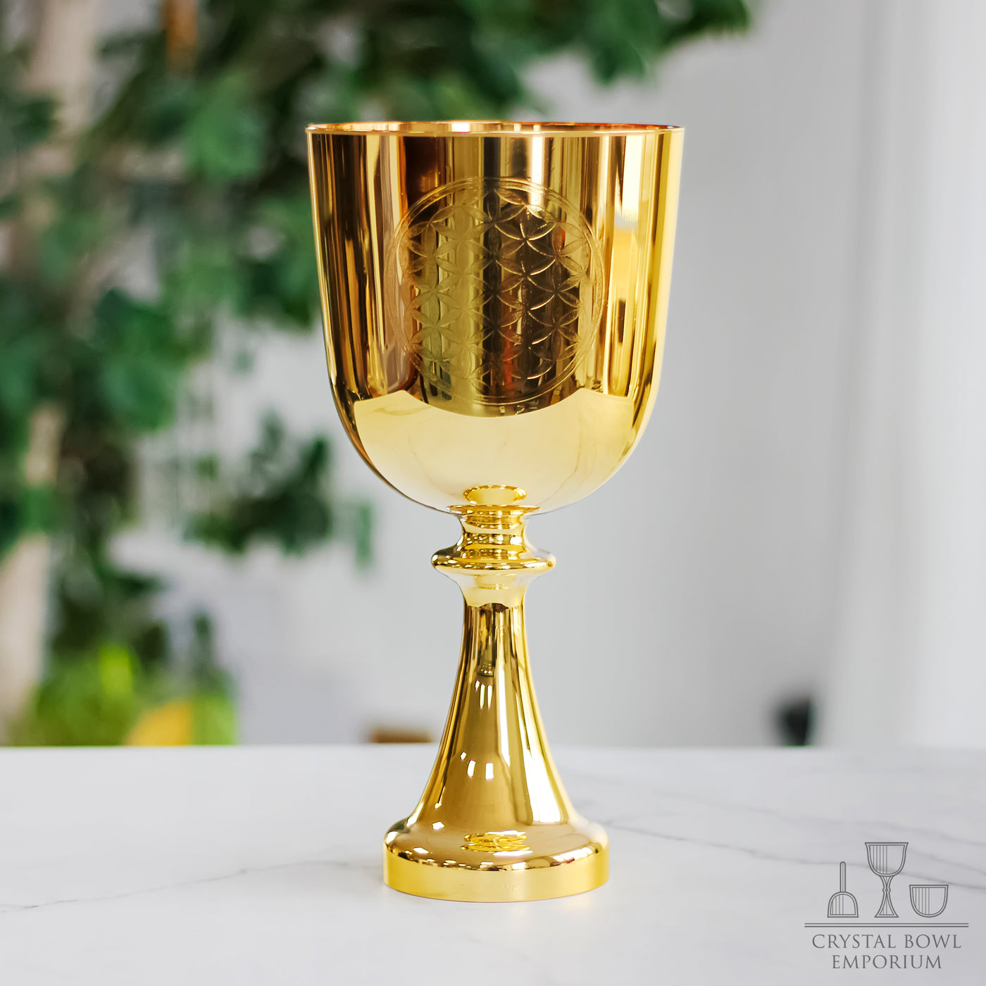 Gold Flower of Life Chalice
